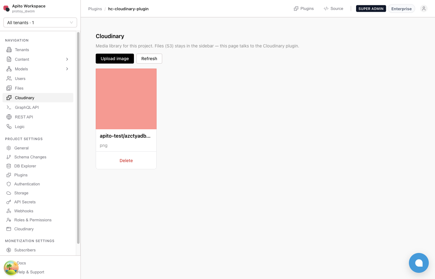 Cloudinary gallery with Upload image and an existing apito-test asset